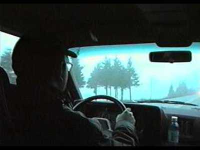 Driving the shore road